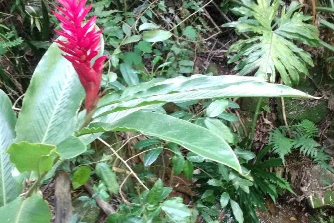 Parque Olhos d'Água, na Asa Norte. 20/2/23