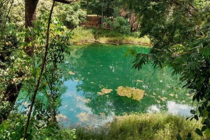 Parque Olhos d'Água, na Asa Norte. 20/2/23