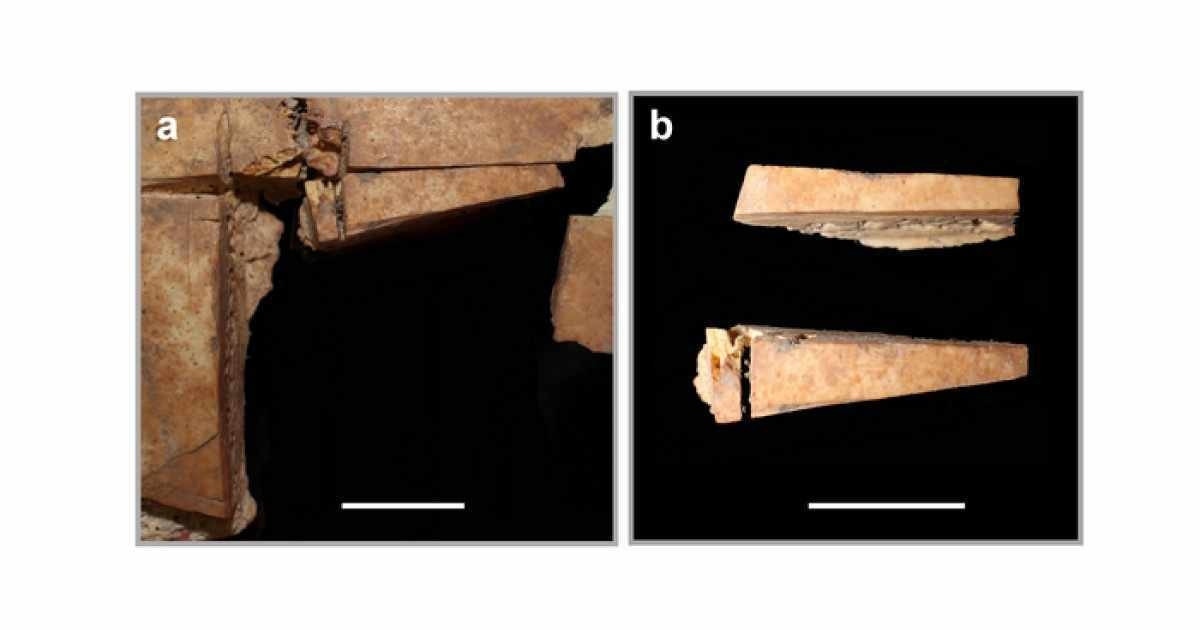 Escavação descobre que cirurgia craniana já era feita na Idade do Bronze