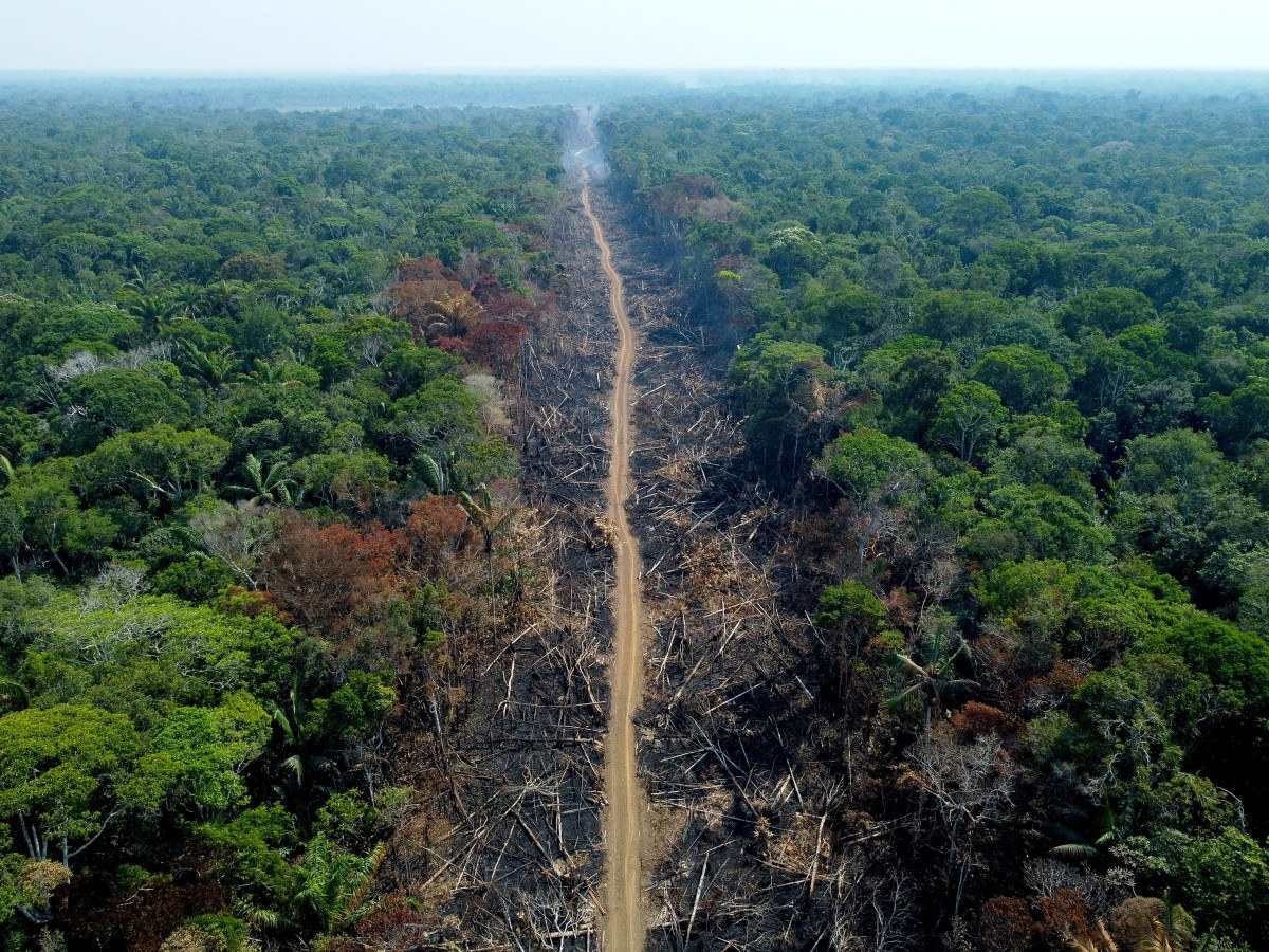 Gigante de potássio brasileira propõe não vender fertilizante a Amazônia