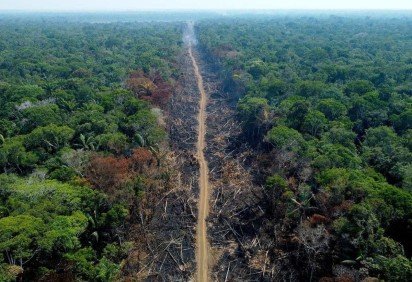 Em um ano, a Amazônia perdeu cerca de 5.796 quilômetros quadrados de floresta
 -  (crédito: Michel Dantas/AFP) -Em um ano, a Amazônia perdeu cerca de 5.796 quilômetros quadrados de floresta
 -  (crédito: Michel Dantas/AFP)