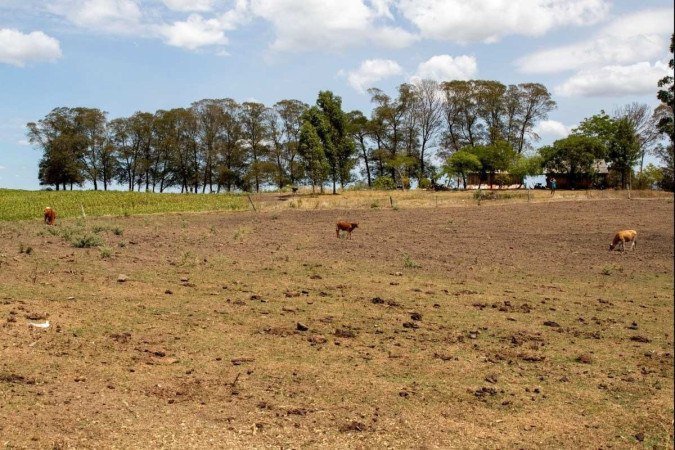 Estiagem prejudica cidades do Nordeste, que decretam situação de emergência -  (crédito: Fábio Pozzebom/Agência Brasil)