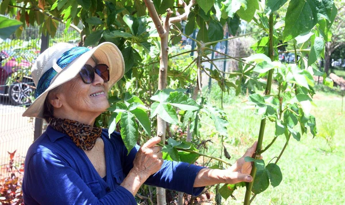 Horta no Sudoeste une comunidade em torno da sustentabilidade