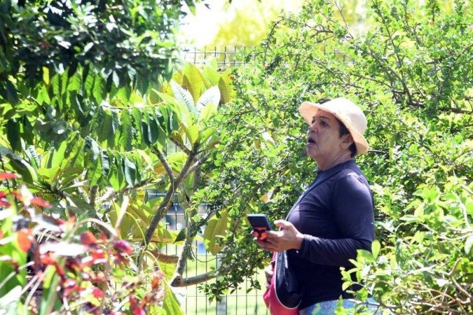  27/02/2023 Credito: Ed Alves/CB/DA.Press. Cidades.  De forma voluntária, moradores plantam ervas medicinais, hortaliças e flores, dentro do parque do Sudoese. A horta, que começou pequenininha, ganhou mais espaço.