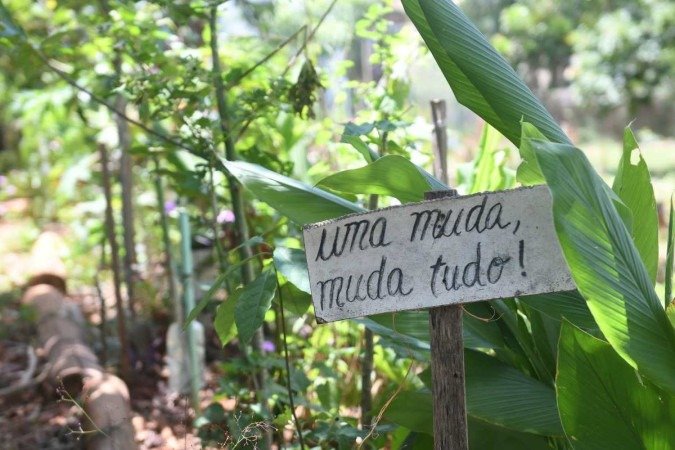  Área de 900m², autorizada para cultivo, foi incluída pelo GDF no Parque do Sudoeste 
