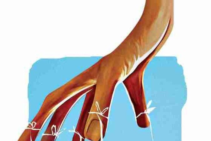  (crédito: Maurenilson Freire)