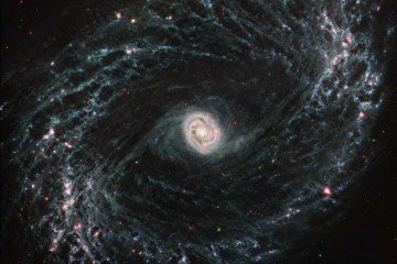 Redes de gás e poeira   This image taken by the NASA/ESA/CSA James Webb Space Telescope shows one of a total of 19 galaxies targeted for study by the Physics at High Angular resolution in Nearby Galaxies (PHANGS) collaboration. Nearby barred spiral galaxy NGC 1433 takes on a completely new look when observed by Webb...s Mid-Infrared Instrument (MIRI). NGC 1433...s spiral arms are littered with evidence of extremely young stars releasing energy and, in some cases, blowing out the gas and dust of the interstellar medium they plough into. Areas that once appeared dark and dim in optical imaging light up under Webb...s infrared eye, as clumps of dust and gas in the interstellar medium absorb the light from forming stars and emit it back out in the infrared. Webb...s image of NGC1433 is a dramatic display of the role that dynamic processes within the forming stars, dust, and gas play in the larger structure of an entire galaxy. At the centre of the galaxy, a tight, bright core featuring a unique double ring structure shines in exquisite detail, revealed by Webb...s extreme resolution. In this case, that double ring is actually tightly wrapped spiral arms that wind into an oval shape along the galaxy...s bar axis. NGC 1433 is classified as a Seyfert galaxy, a galaxy relatively close to Earth that has a bright, active core. The brightness and lack of dust in the MIRI image of NGC 1433 could hint at a recent merger or even collision with another galaxy.In the image of NGC 1433, blue, green, and red were assigned to Webb...s MIRI data at 7.7, 10 and 11.3, and 21 microns (the F770W, F1000W and F1130W, and F2100W filters, respectively). MIRI was contributed by ESA and NASA, with the instrument designed and built by a consortium of nationally funded European Institutes (The MIRI European Consortium) and NASA...s Jet Propulsion Laboratory, in partnership with the University of Arizona.[Image Description: A large galaxy takes up the entirety of the image. The core is mostly bright white, but there are also swirling, detailed structures that resemble water circling a drain. There is white and light blue colored dust that emanates from the core...s center, but it is tightly contained to the core. The rings are wispy and highlight filaments of dust around cavernous black bubbles. The dust in the outer rings contains dots that are navy blue, pinkish, reddish, and white.]      -  (crédito: Fotos: Nasa/Divulgação)