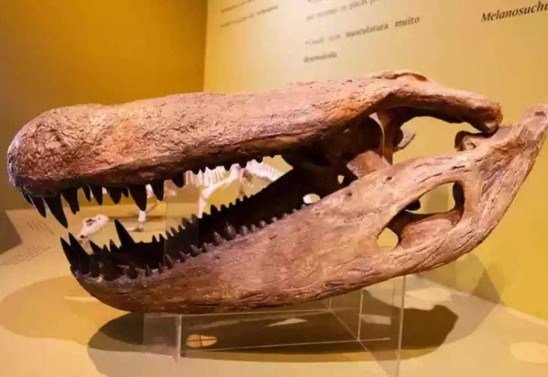 Raphael Calixto/PUC-MG/Divulgação