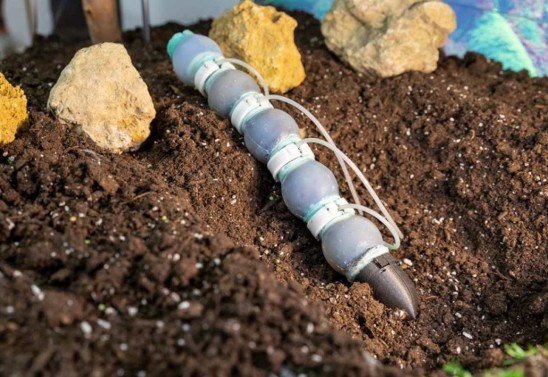 Inst ituto Italiano de Tecnologia 