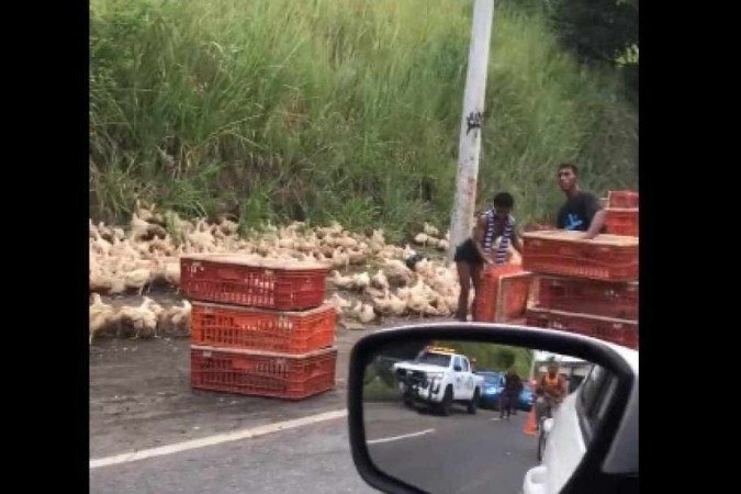 (crédito: Twitter/ reprodução) (crédito: Twitter/ reprodução)