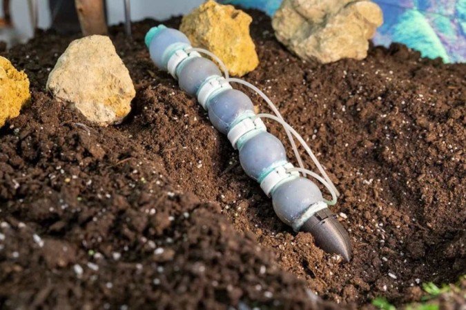  (crédito: Inst ituto Italiano de Tecnologia )