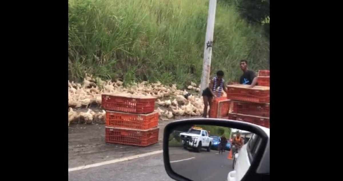 Caminhão com galinhas tomba e carga vira almoço de moradores no Rio 