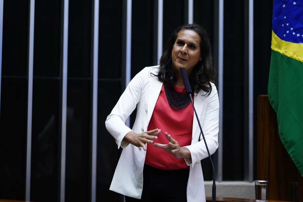                                      Sessão para a votação de propostas legislativas. Dep. Duda Salabert (PDT - MG)  