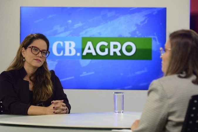 (crédito: Marcelo Ferreira/CB/D.A Press) (crédito: Marcelo Ferreira/CB/D.A Press)