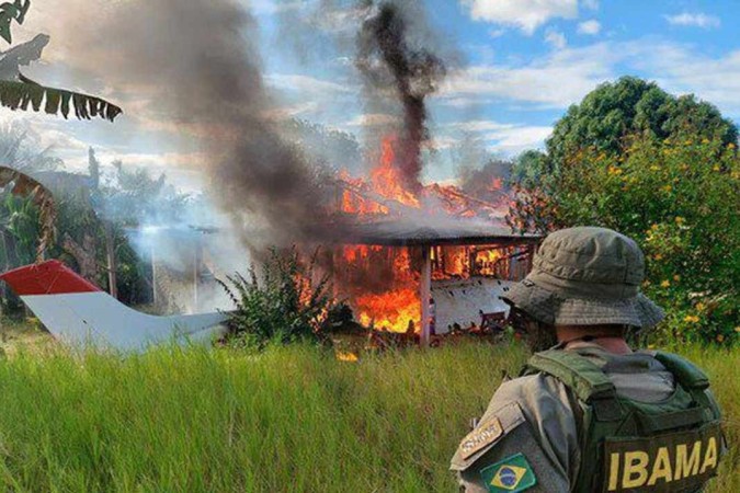 A determinação para a volta ao trabalho ocorre em meio aos incêndios e desmatamentos recordes no Pantanal -  (crédito: Divulgação/Ibama)