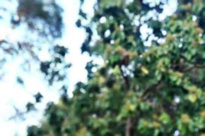 O personal Rodrigo Resende explica que o número de repetições e a quantidade de carga podem se complementar