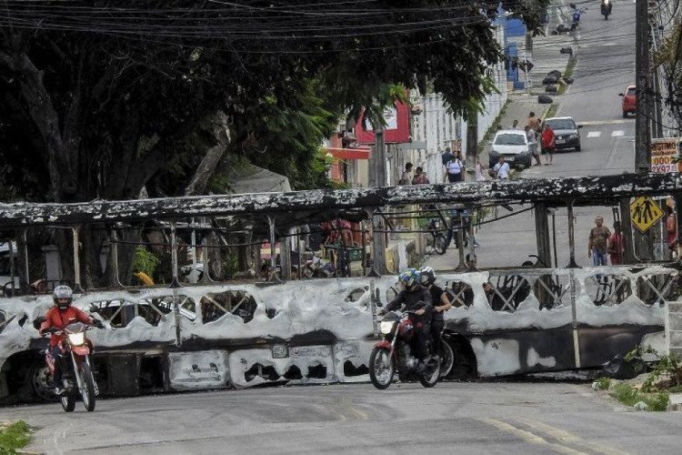 Gacek: conheça o gato de rua que virou atração turística em cidade na  Polônia