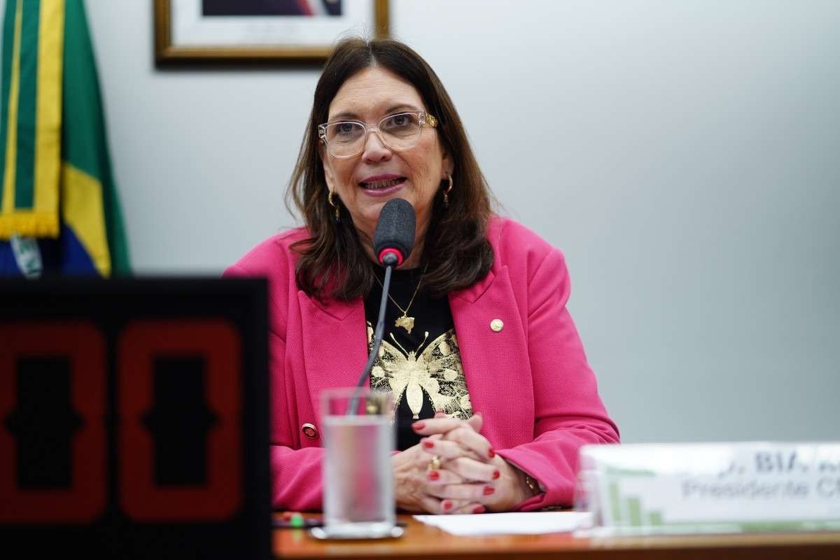 Kicis sobre atuação: "Será fiscalização responsável, mas firme"