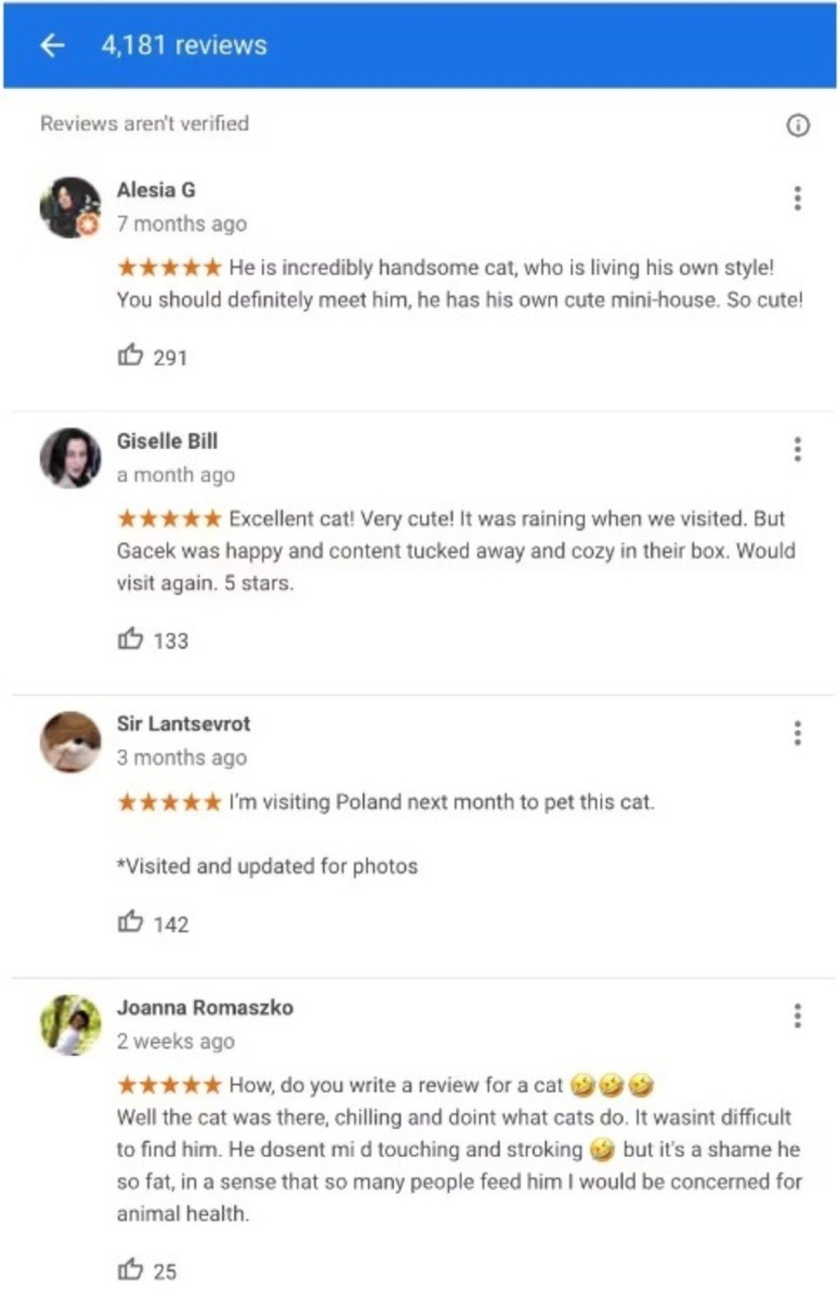 Avaliações do gato Gacek no Google Maps