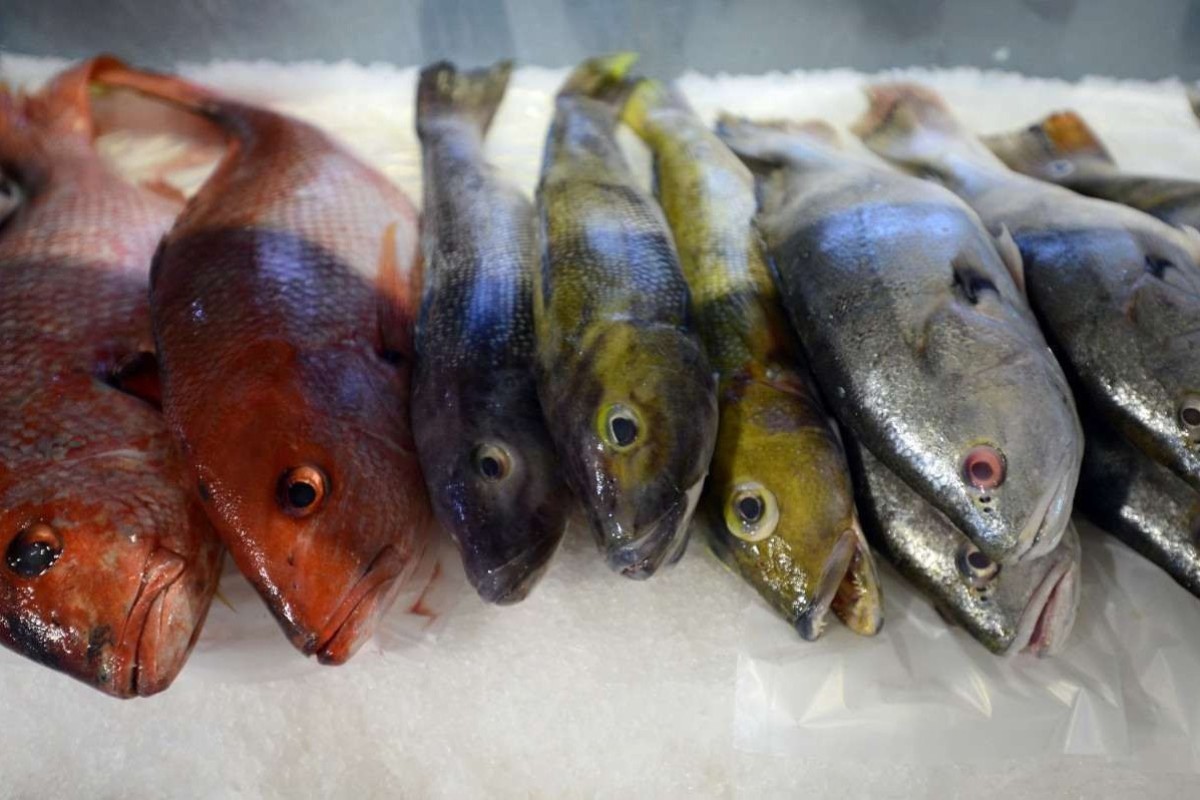 Confira opções de peixes para saborear durante a Quaresma em Goiânia