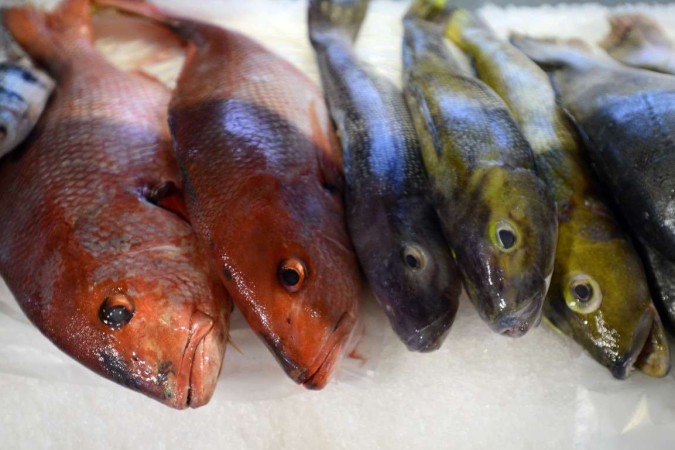 Confira opções de peixes para saborear durante a Quaresma em Goiânia