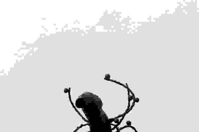 Ni Ukemerâ – Floresta Adentro, Exposição de Simone Fontana Reis. Visitação até 11 de abril, na Galeria Karla Osório