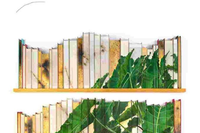  (crédito: Lucas Dupin)