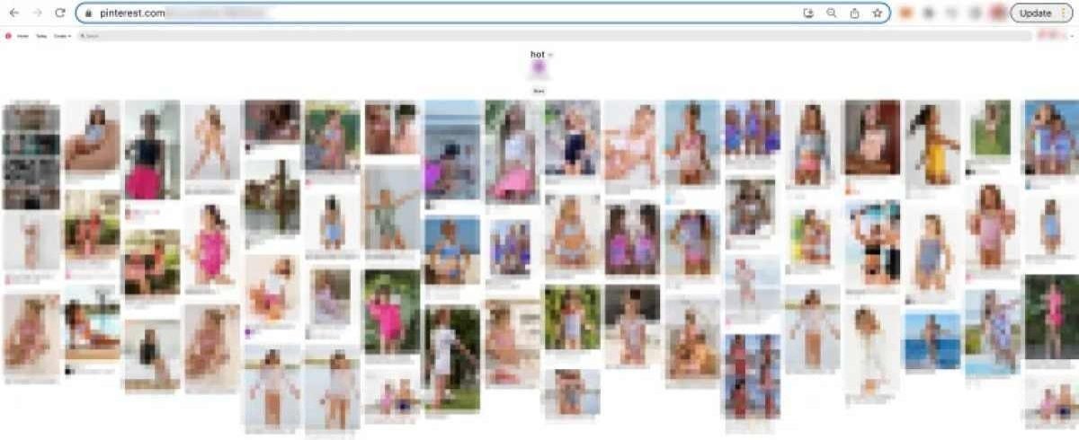 Perfis dos criminosos eram compostos por coleções com centenas de fotos e vídeos de garotas Perfis dos criminosos eram compostos por coleções com centenas de fotos e vídeos de garotas