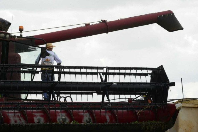 Levantamento do IBGE prevê supersafra recorde de grãos em 2019: clima ajudou e investimentos aumentaram - (crédito: Carlos Vieira/CB/D.A.Press) Levantamento do IBGE prevê supersafra recorde de grãos em 2019: clima ajudou e investimentos aumentaram - (crédito: Carlos Vieira/CB/D.A.Press)