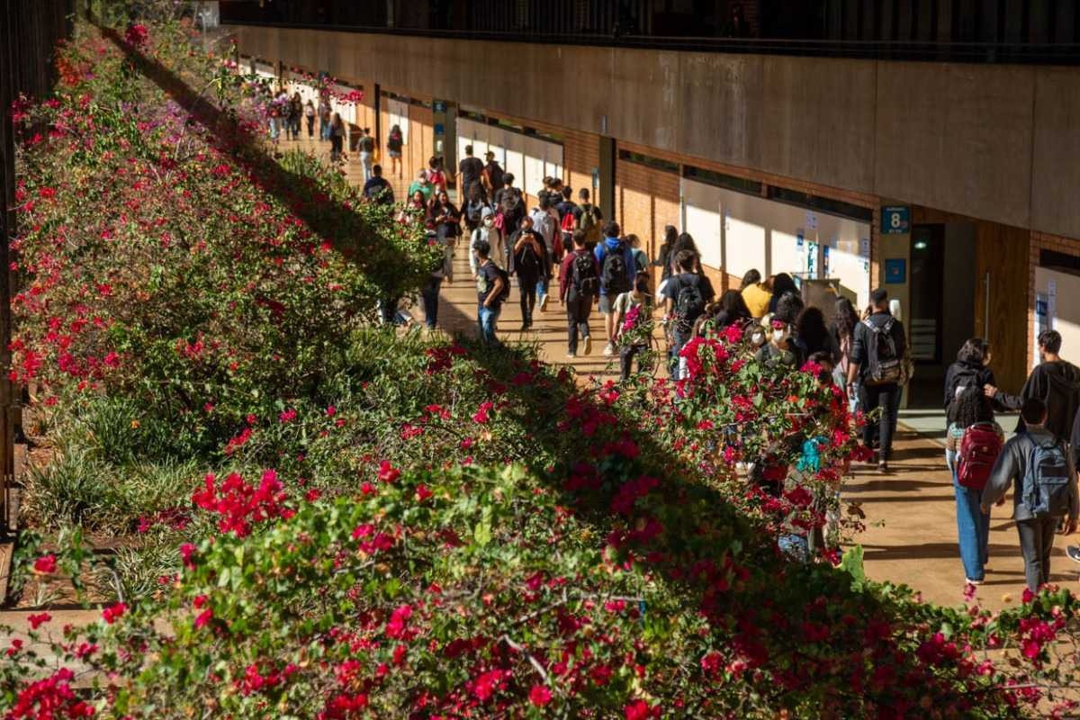 UnB recebe nota máxima no IGC e lidera entre as instituições do DF