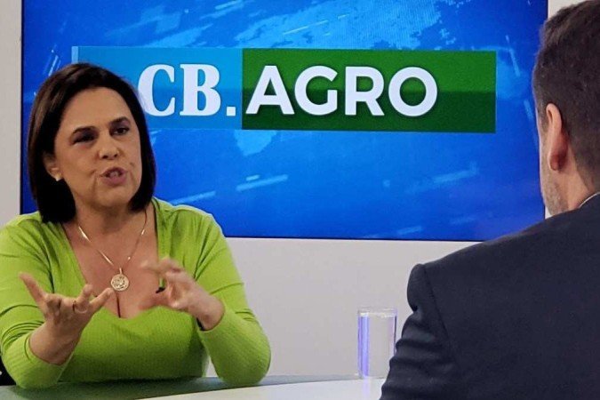 (crédito: Carlos Vieira/CB/D.A.Press) (crédito: Carlos Vieira/CB/D.A.Press)