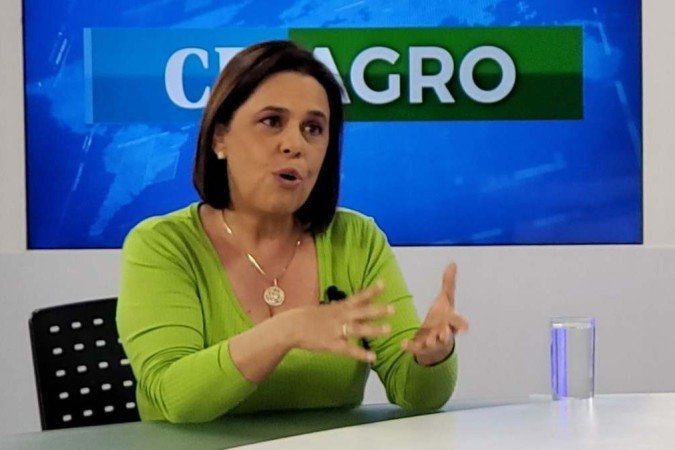 (crédito: Carlos Vieira/CB/D.A.Press) (crédito: Carlos Vieira/CB/D.A.Press)