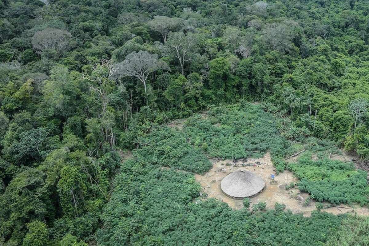 Dino estende uso da Força Nacional em Terra Indígena Pirititi, em Roraima