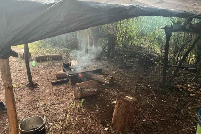 (crédito: Divulgação/Polícia Federal ) (crédito: Divulgação/Polícia Federal )