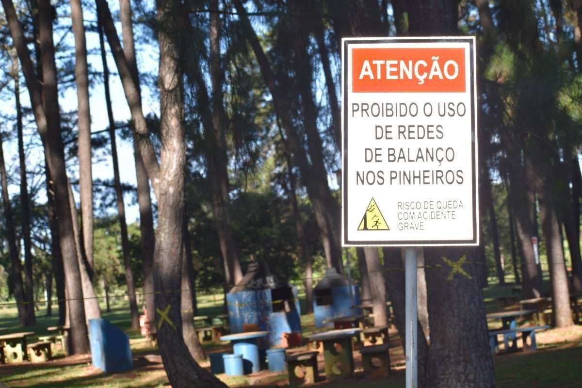 Condenadas, árvores do Parque da Cidade oferecem riscos aos frequentadores