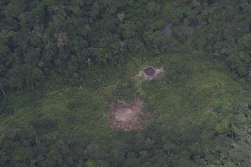 Terra Indígena Yanomami, onde o helicóptero caiu -  (crédito:  Fernando Frazao/Agência Brasil                                                                                                                                                                                                                                         )