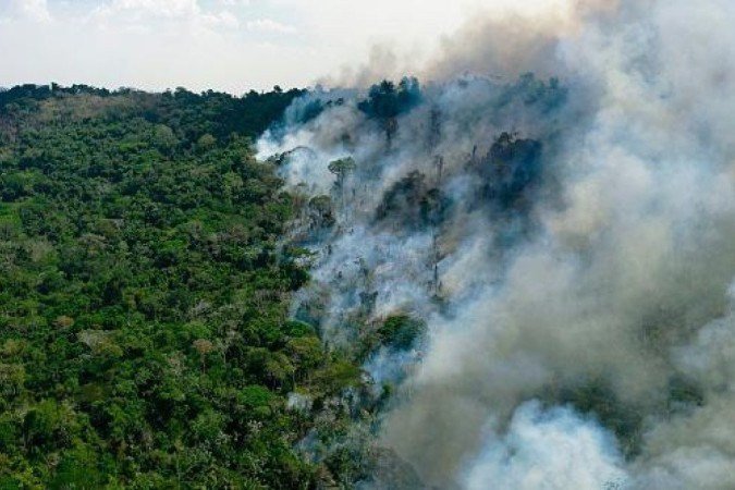 Preservar a Amazônia é uma questão de saúde pública, defendem cientistas - (crédito: Getty Images) Preservar a Amazônia é uma questão de saúde pública, defendem cientistas - (crédito: Getty Images)