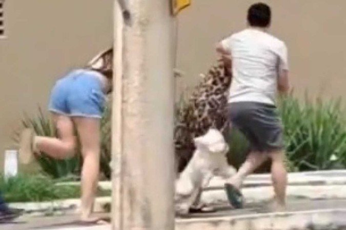 O caso aconteceu no sábado (15/4), em Águas Claras. A Polícia Civil do Distrito Federal (PCDF) investiga o caso -  (crédito: material cedido ao Correio)