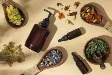  Os 10 fitoterápicos mais vendidos no país não utilizam espécies nativas -  (crédito: Freepik)