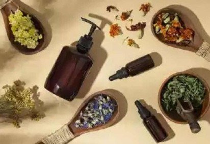  Os 10 fitoterápicos mais vendidos no país não utilizam espécies nativas -  (crédito: Freepik) - Os 10 fitoterápicos mais vendidos no país não utilizam espécies nativas -  (crédito: Freepik)