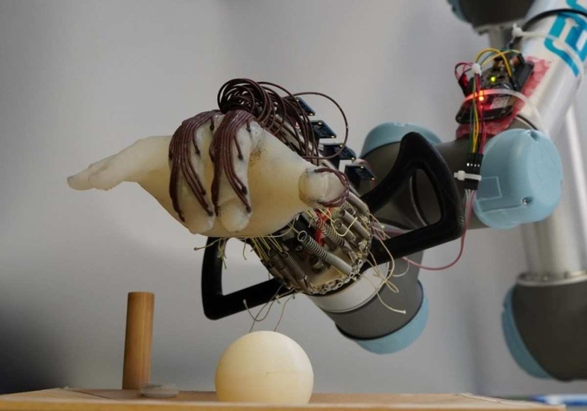 Cientistas de Cambridge criam peça robótica capaz de segurar objetos 