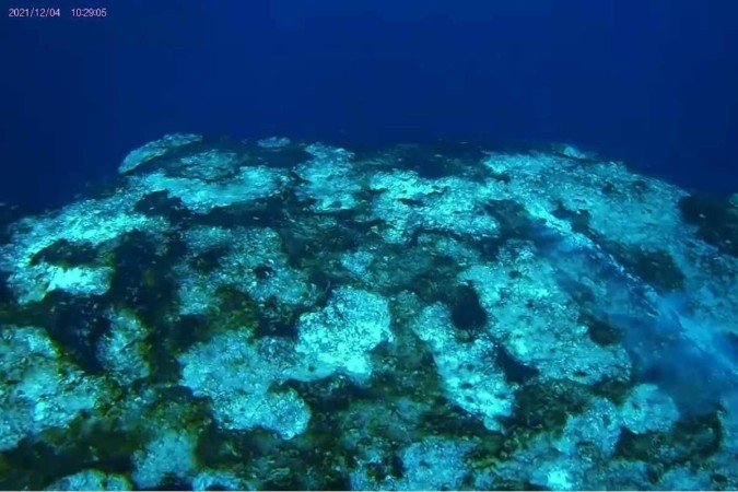 A caverna marítima tem profundidade de 274 metros e, por isso, recebeu o nome de Taam Ja’, que significa águas profundas em maia - (crédito: Colegio de la Frontera Sur/Reprodução) A caverna marítima tem profundidade de 274 metros e, por isso, recebeu o nome de Taam Ja’, que significa águas profundas em maia - (crédito: Colegio de la Frontera Sur/Reprodução)