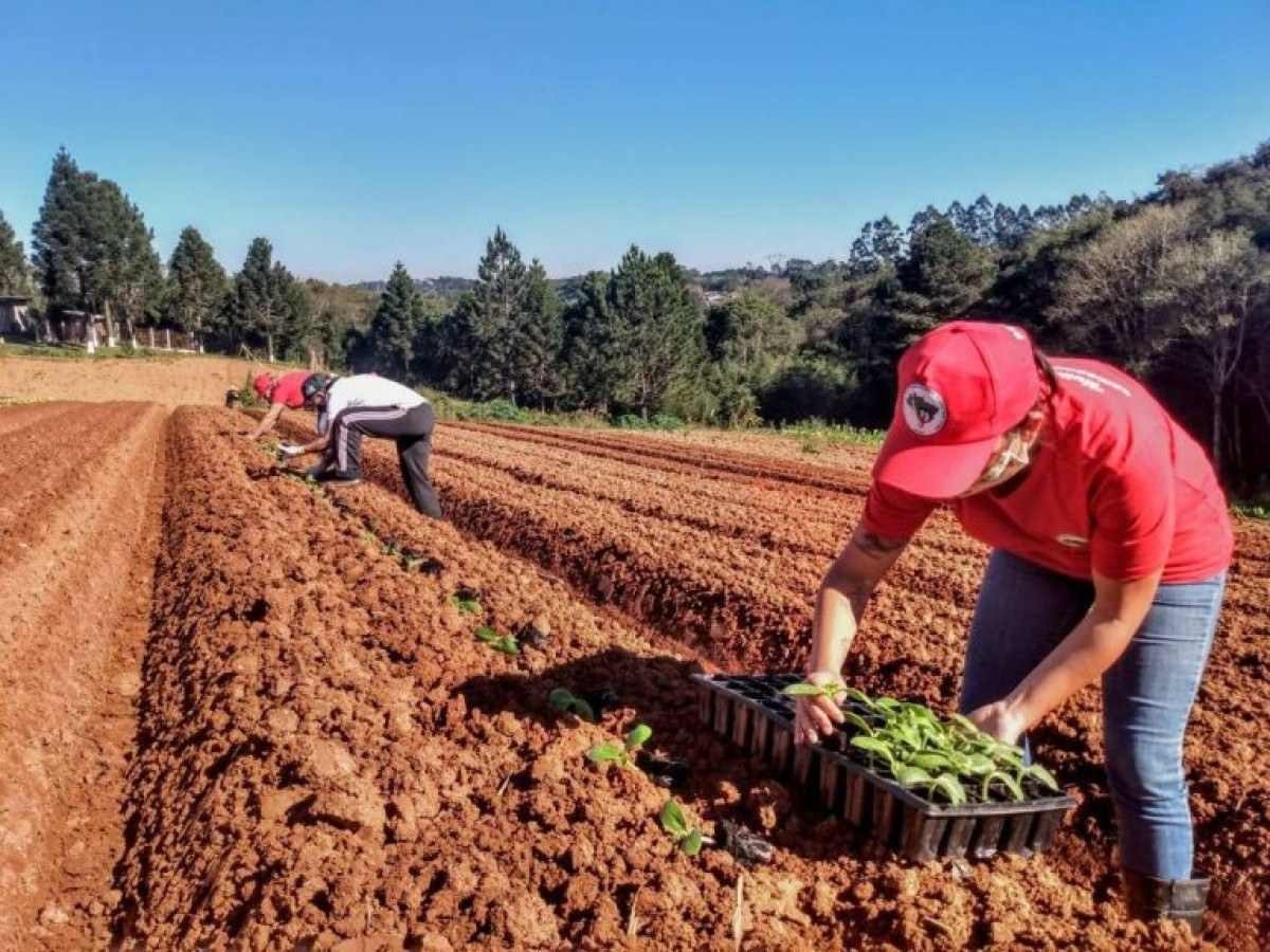 Lugar de inteligência artificial é no campo