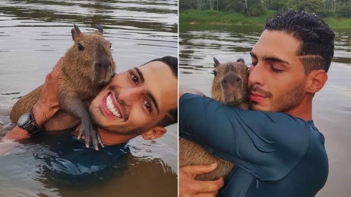 Em prantos, tiktoker devolve capivara ao Ibama: Pelo bem dela