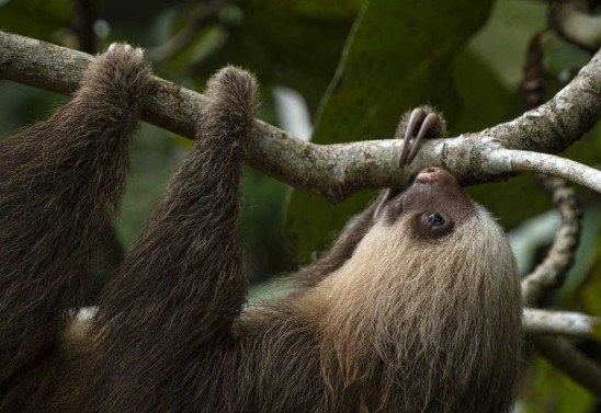 Ezequiel BECERRA / AFP