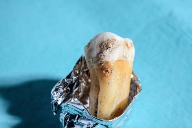  (crédito:  Fundação Werner Siemens, Felix Wey)