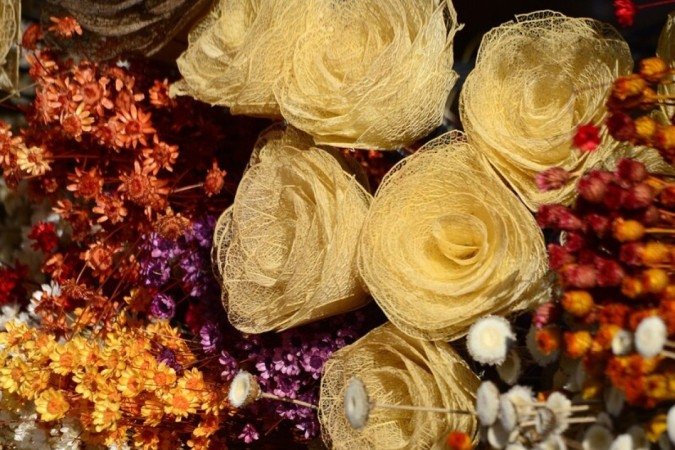 São mais de 50 espécies colhidas por 15 artesãos para a produção dos arranjos de flores secas - (crédito: Carlos Vieira/CB/D. A Press) São mais de 50 espécies colhidas por 15 artesãos para a produção dos arranjos de flores secas - (crédito: Carlos Vieira/CB/D. A Press)