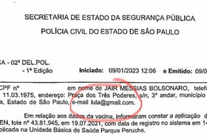 Certificado de vacinação da filha de Bolsonaro foi gerado em inglês um dia  antes de viagem aos EUA - Estadão