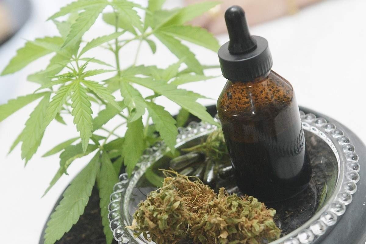  09/05/2023 Credito: Ed Alves/CB/DA.Press. Revista, Mães ativistas, que se mobilizam em causas sociais e políticas pelos filhos. Direito ao cultivo e criou um grupo chamado Mães Canábicas do DF. Na foto, Tatyane de Camargo e o filho Ricardo. 