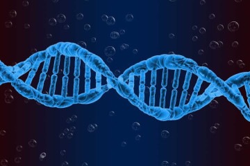 Metilações são mudanças químicas que não alteram o código do DNA, mas influenciam na expressão genética, ligando e desligando importantes proteínas  -  (crédito:  Pete Linfhort/Pixbay/Divulgação)